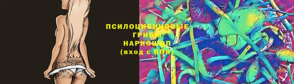 ешки Абинск