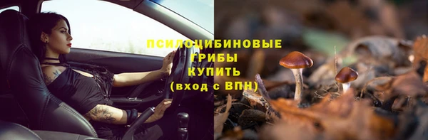 ешки Абинск